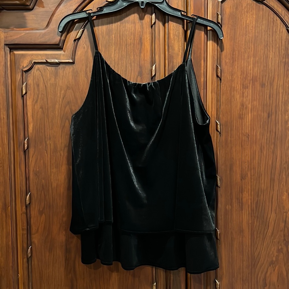 Velvety spaghetti strap top, bought never worn.